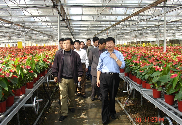2邹志荣教授带领客人们参观新天地农业示范园_副本.jpg